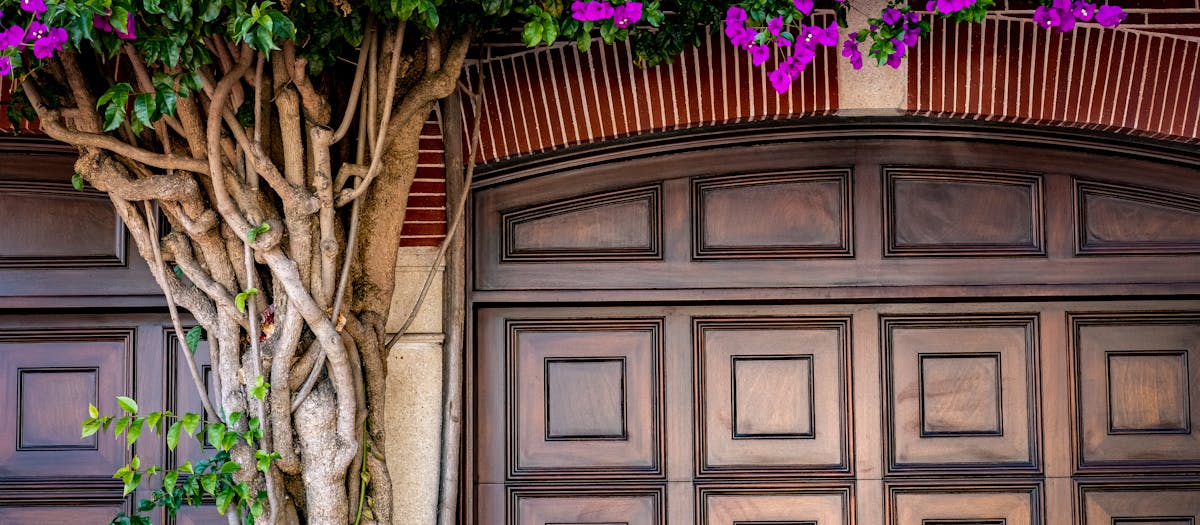 A vibrant bougainvillea vine with purple flowers growing above a wooden garage door, adding charm to the exterior.